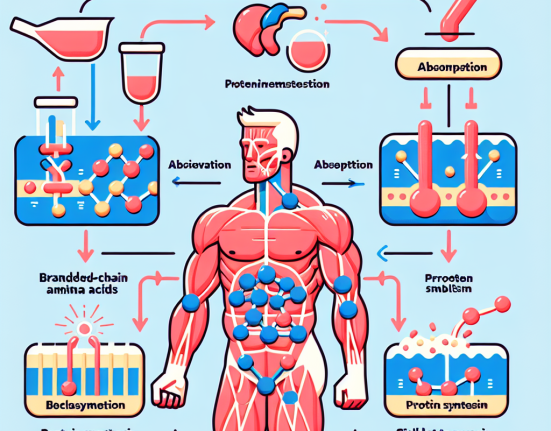 Branched-chain amino acids: enhancing muscle regeneration